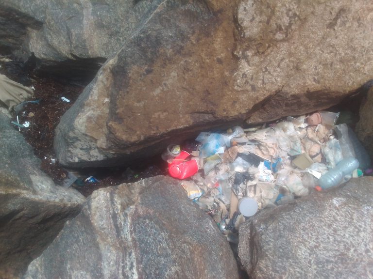 Beach pollution